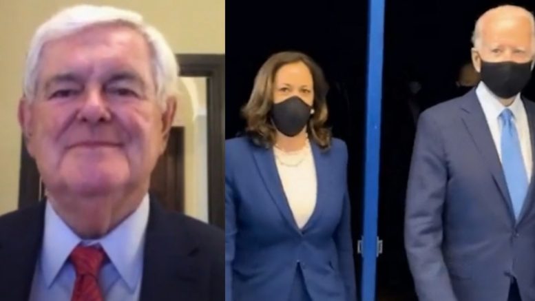 Newt Gingrich, Kamala Harris, Biden